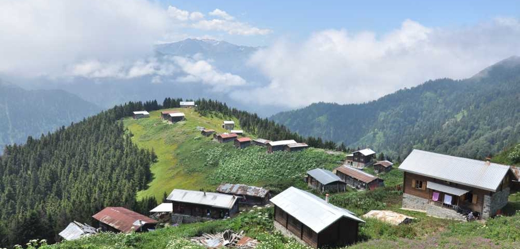 Pokut Yaylası